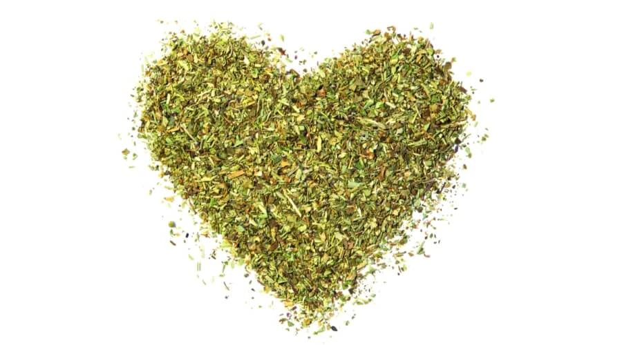حندقوق - Sweet Clover