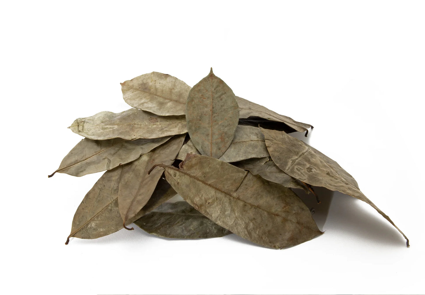 Soursop Leaves - أوراق القشطة
