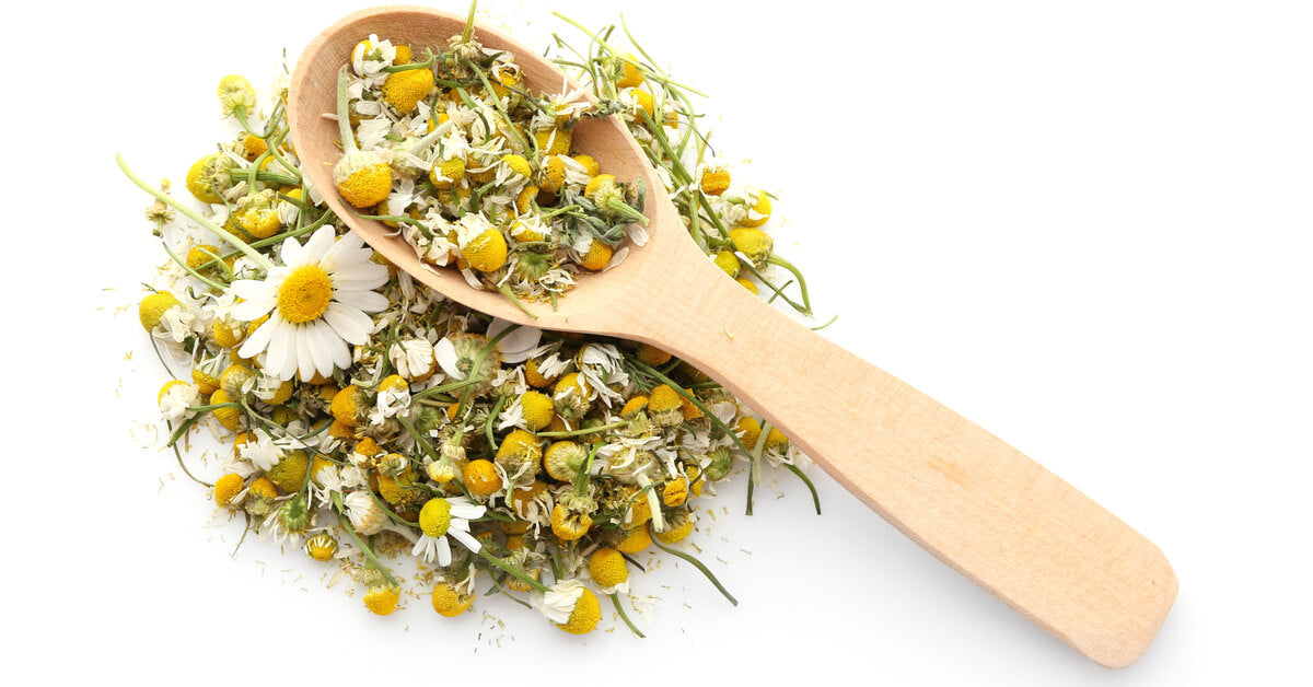 Chamomile - البابونج