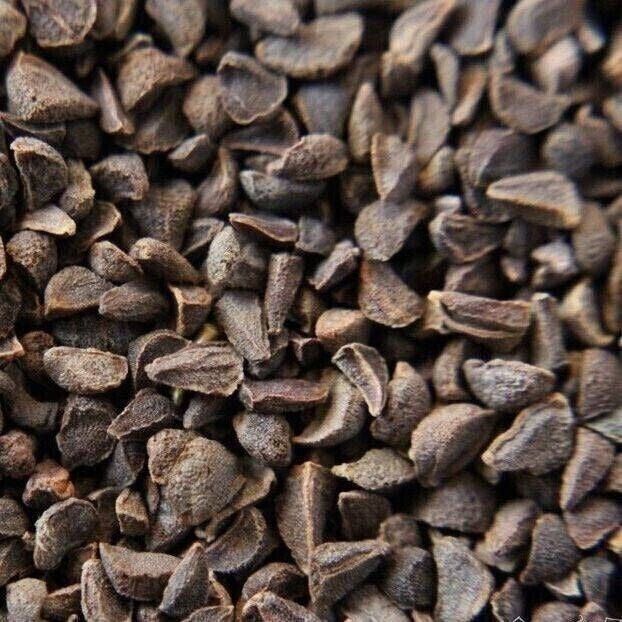 بذور الحرمل - Harmal Seeds (Peganum harmala)