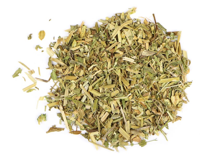 حندقوق - Sweet Clover