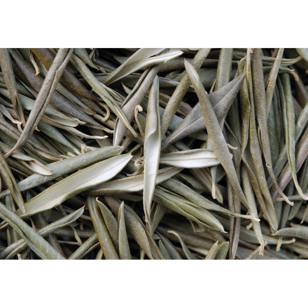 Olive Leaves - ورق الزيتون