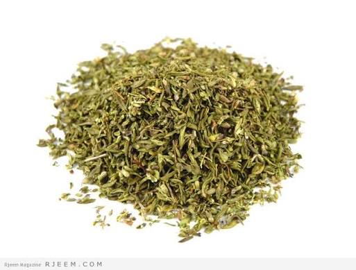 الزَّعتر الفارسي - Persian Thyme