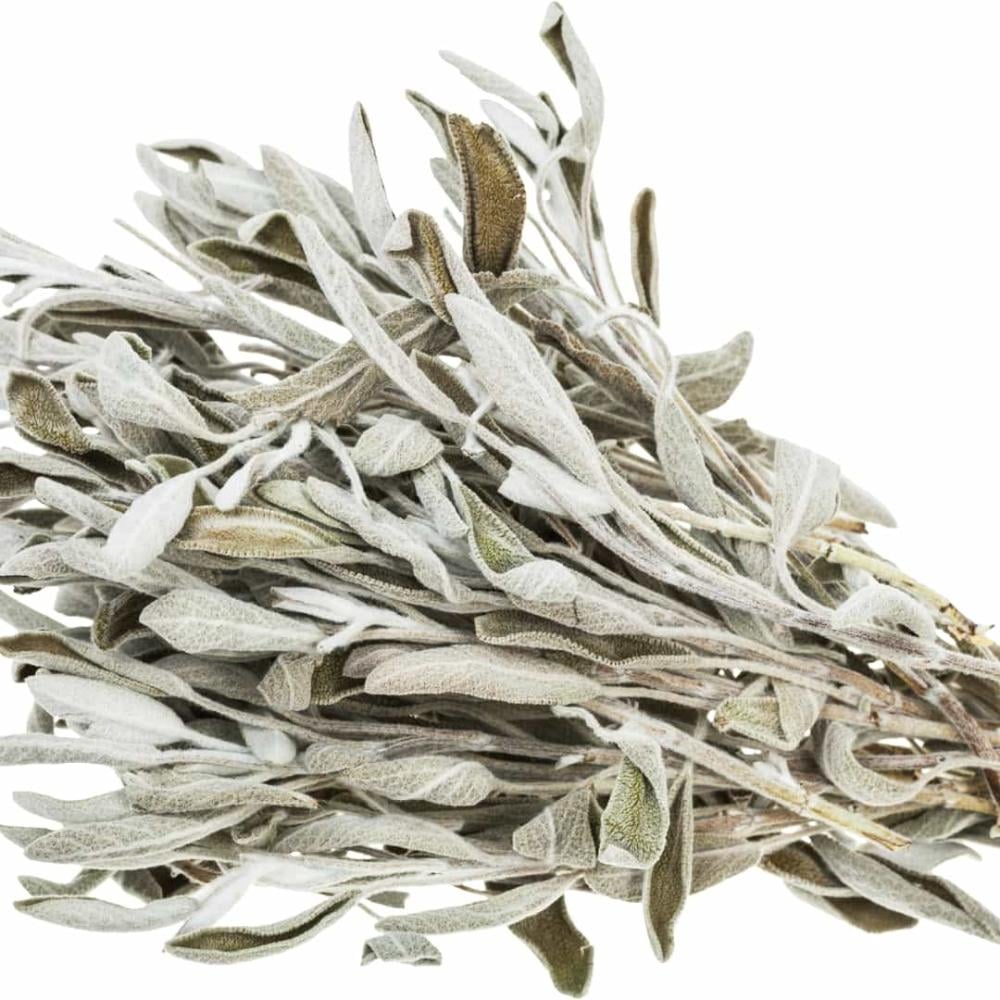 ميرمية بلدية - Sage