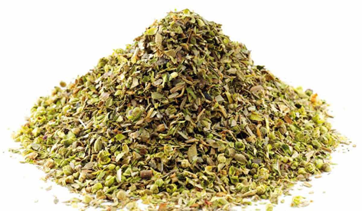 Palestinian Thyme- زعتر ورق فلسطيني