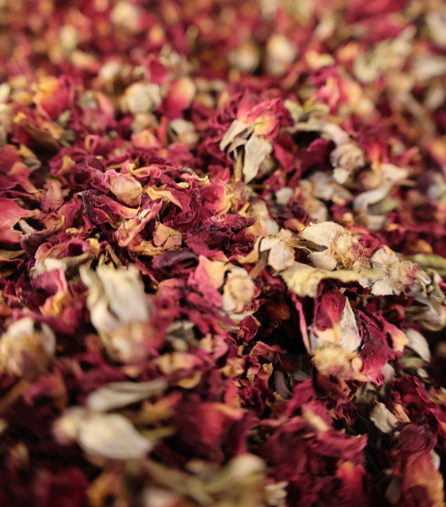 Rose Leaves - أوراق الورد