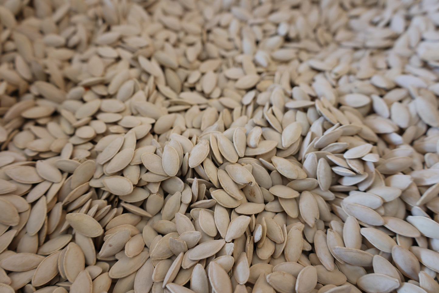 Melon Seeds Salted