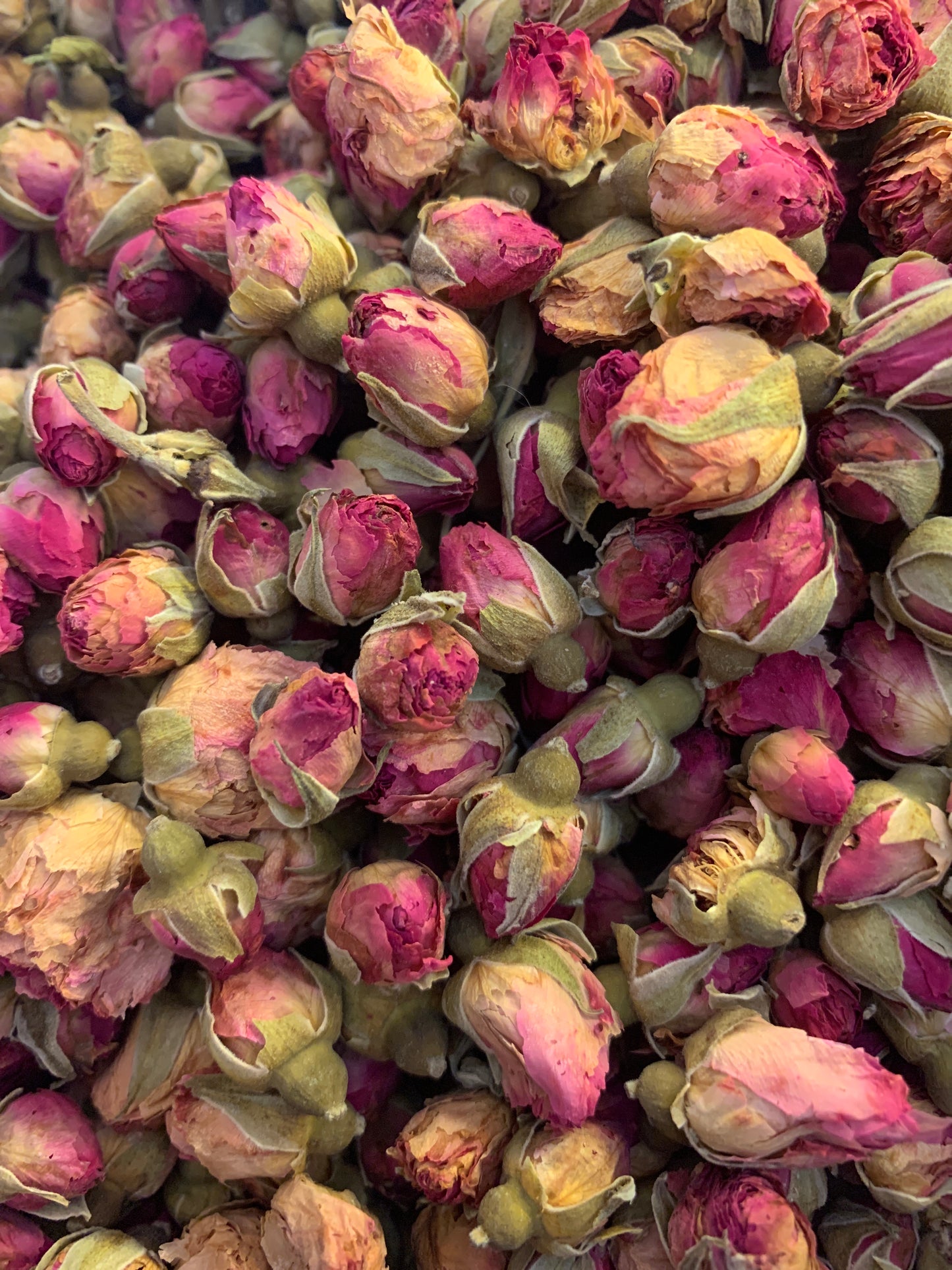 Damask Rose - الورد المحمدي