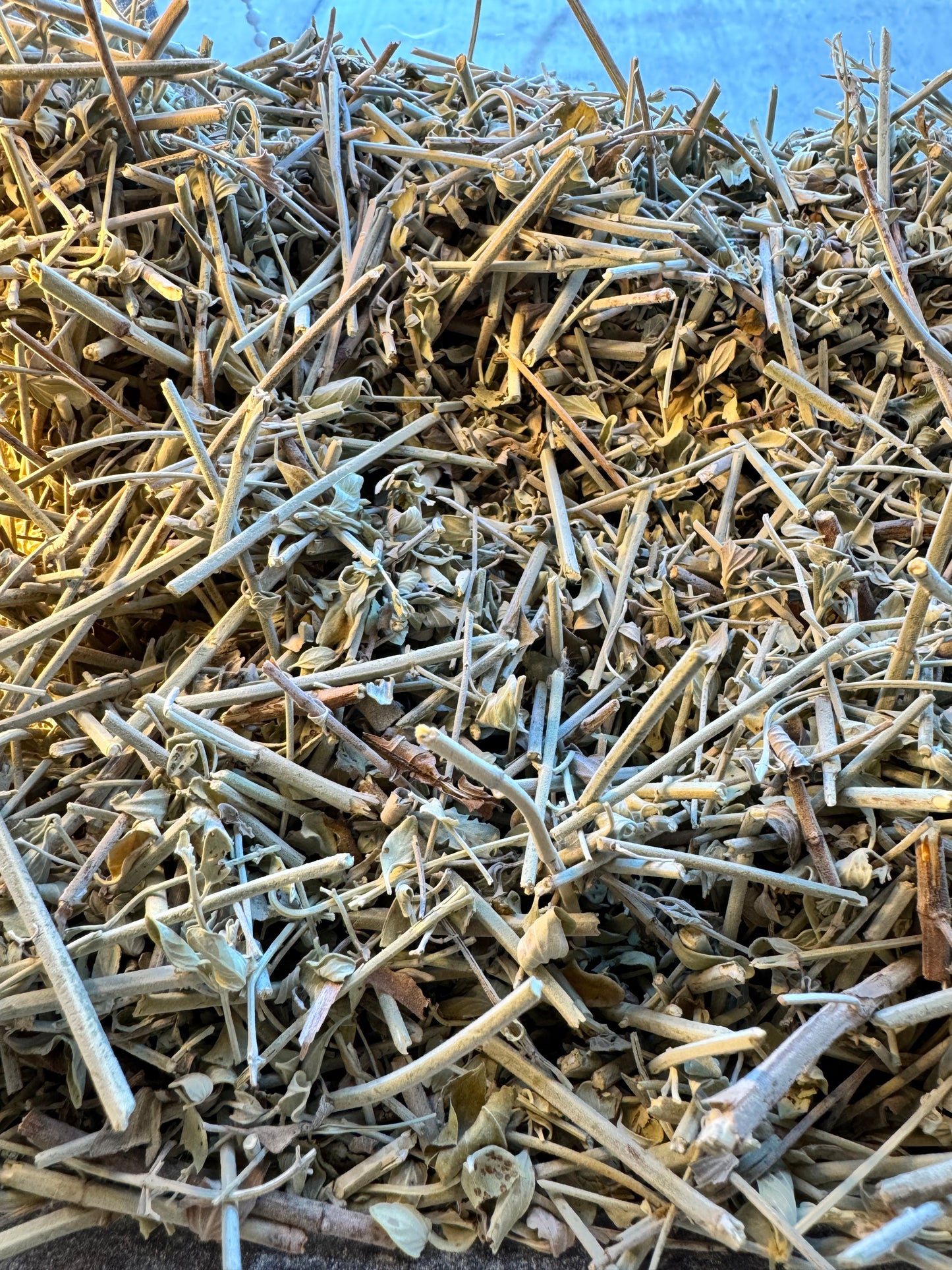 Micromeria Fruticosa - زعيتمان/زعتر بلاط/دقة عدس