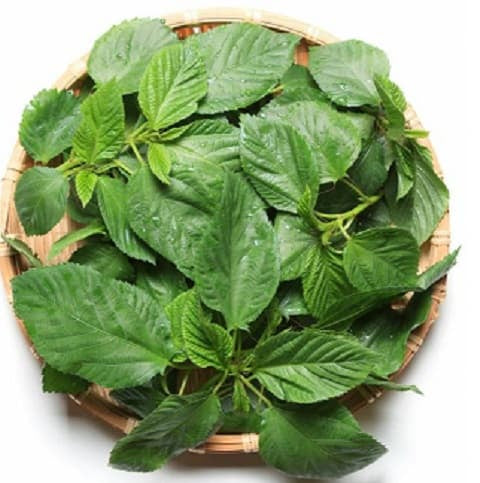 ملوخية ناشفة - (Dried Molokhia (Mallow