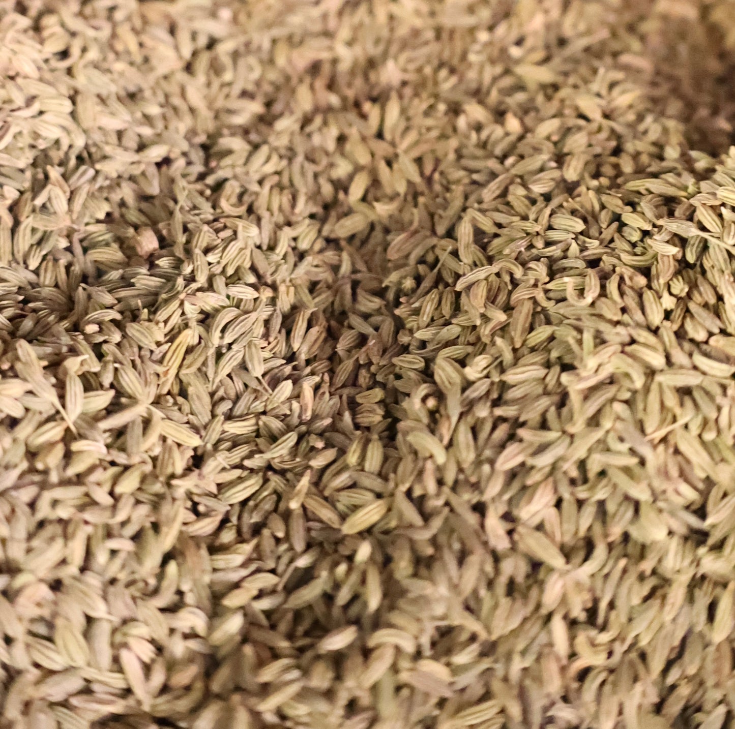 Funnel Seeds - بذور الشومر