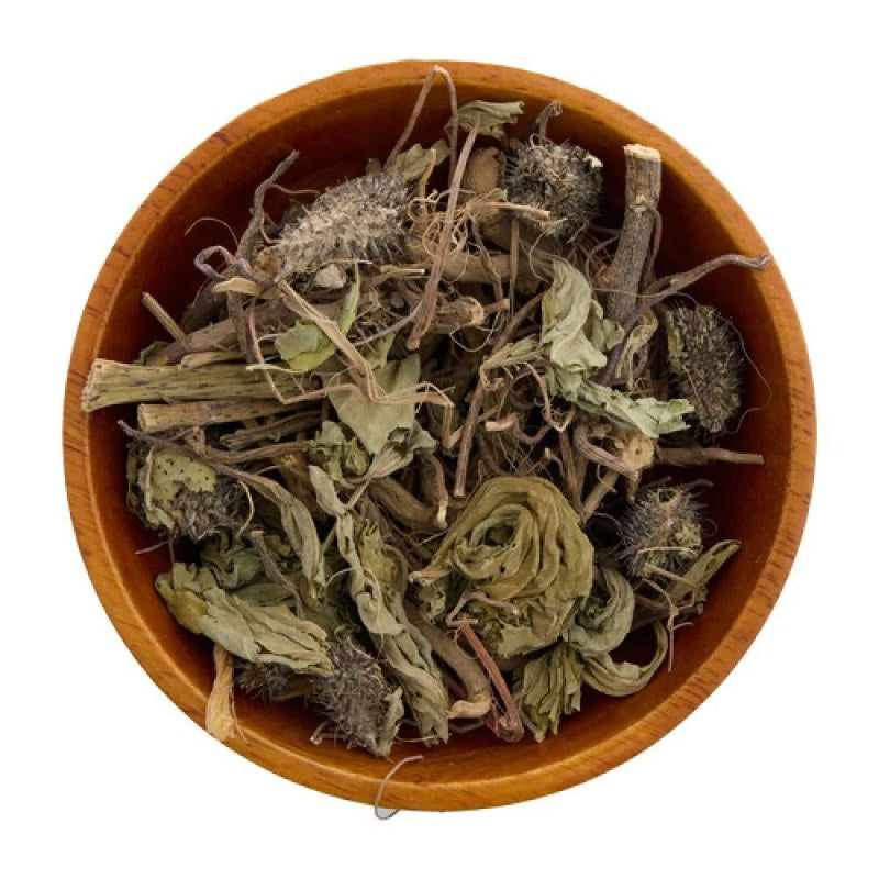 الأرقطيون - Burdock