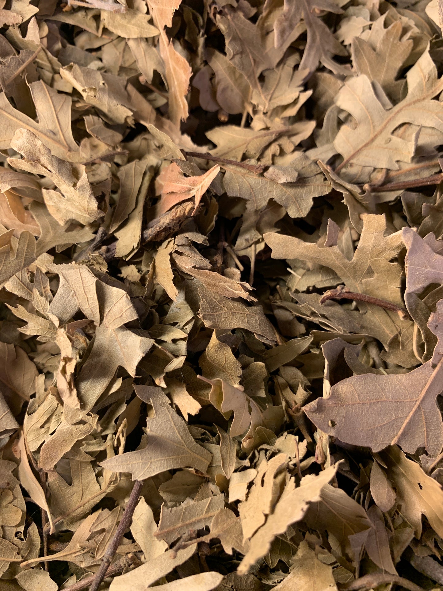 Hawthorn Leaves - ورق الزعرور