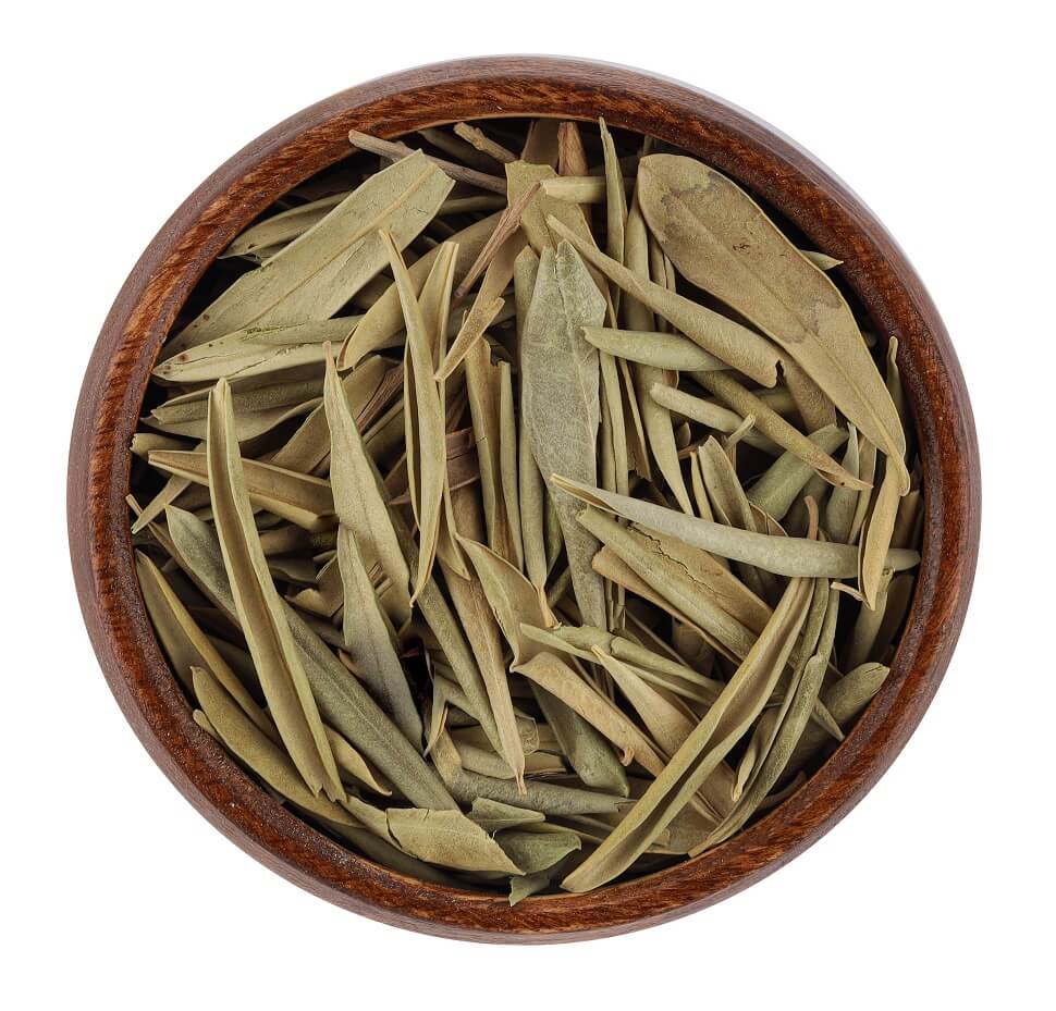 Olive Leaves - ورق الزيتون