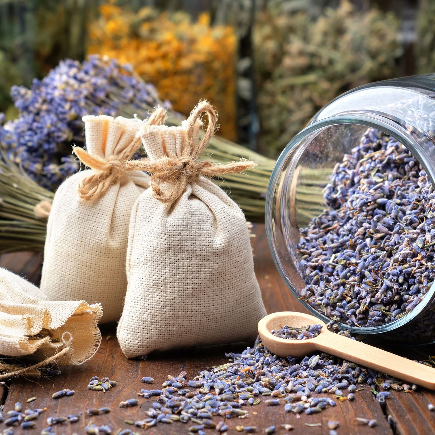 Lavender- زهرة الخزامى (لافندر)
