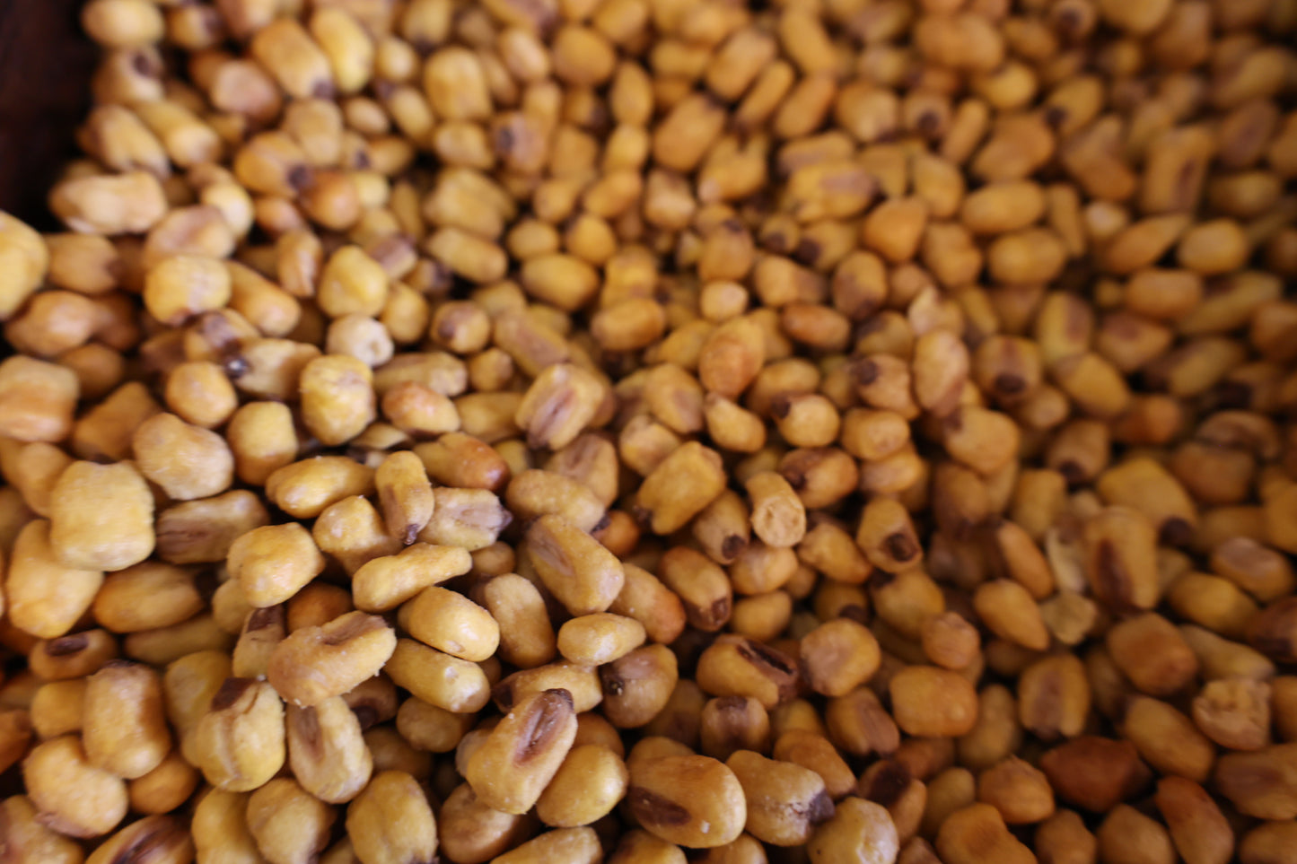 Roasted Corn (salted)
