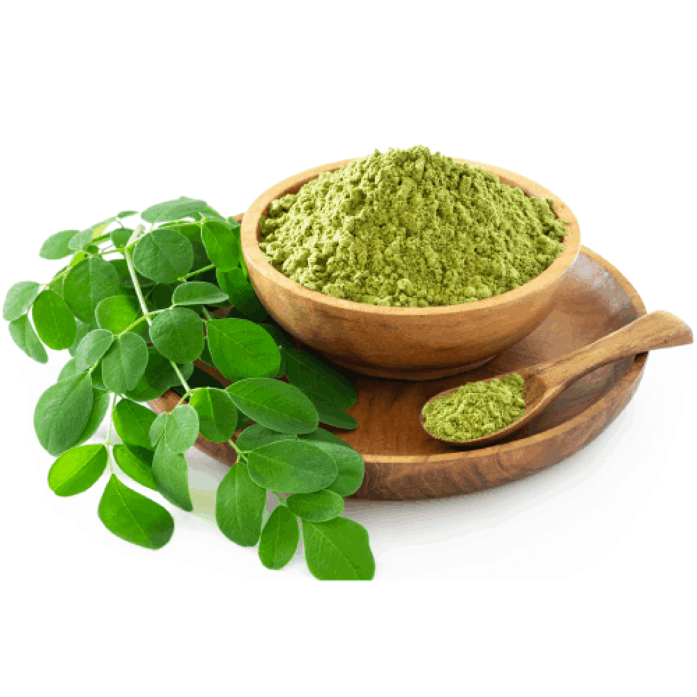 المورينجا - Moringa