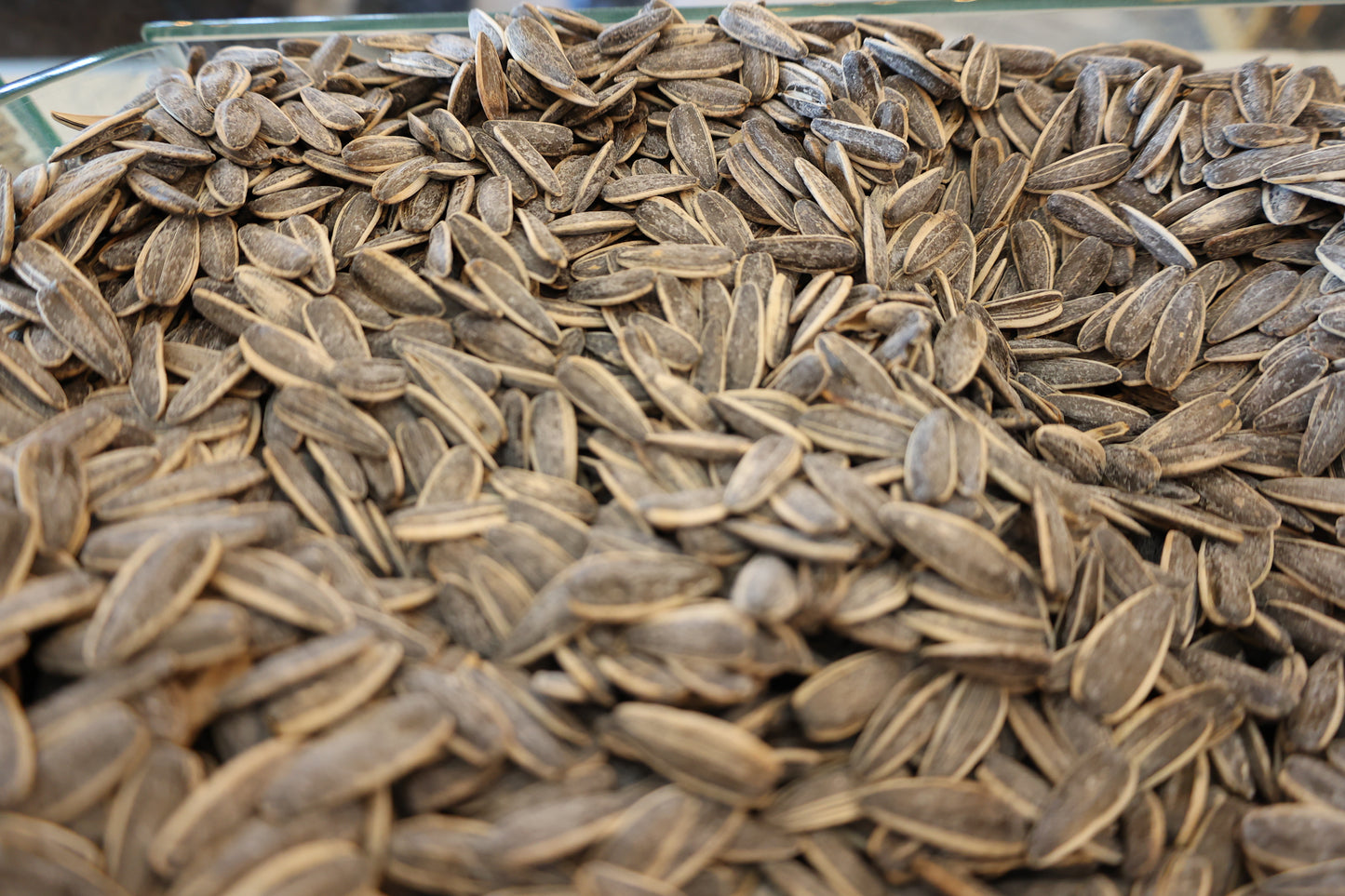 Sunflower Seeds Salted