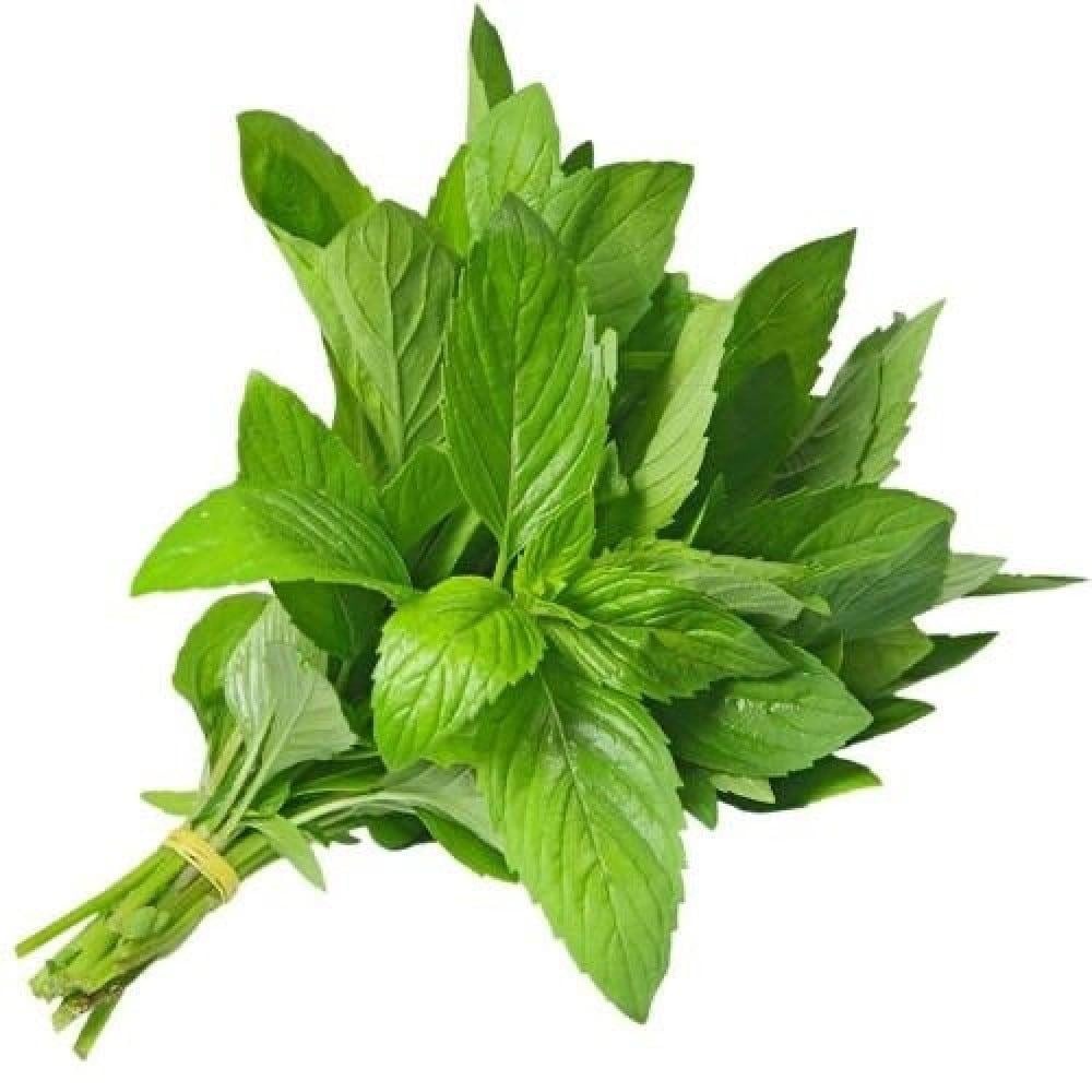 ملوخية ناشفة - (Dried Molokhia (Mallow