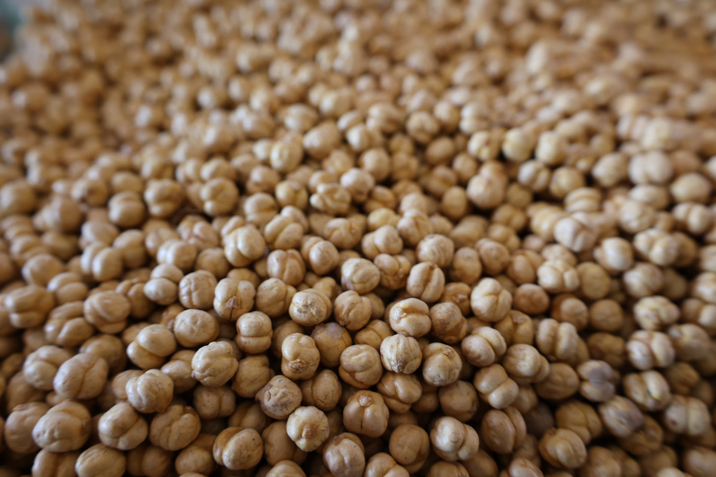 Chic Peas Yellow