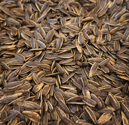 Sunflower Seeds Smoked