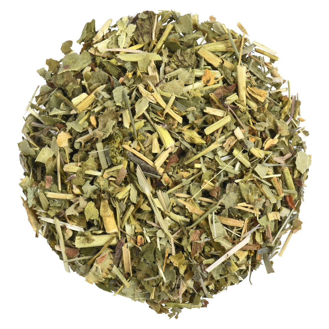Paronychia argentea - رجل الحمامة