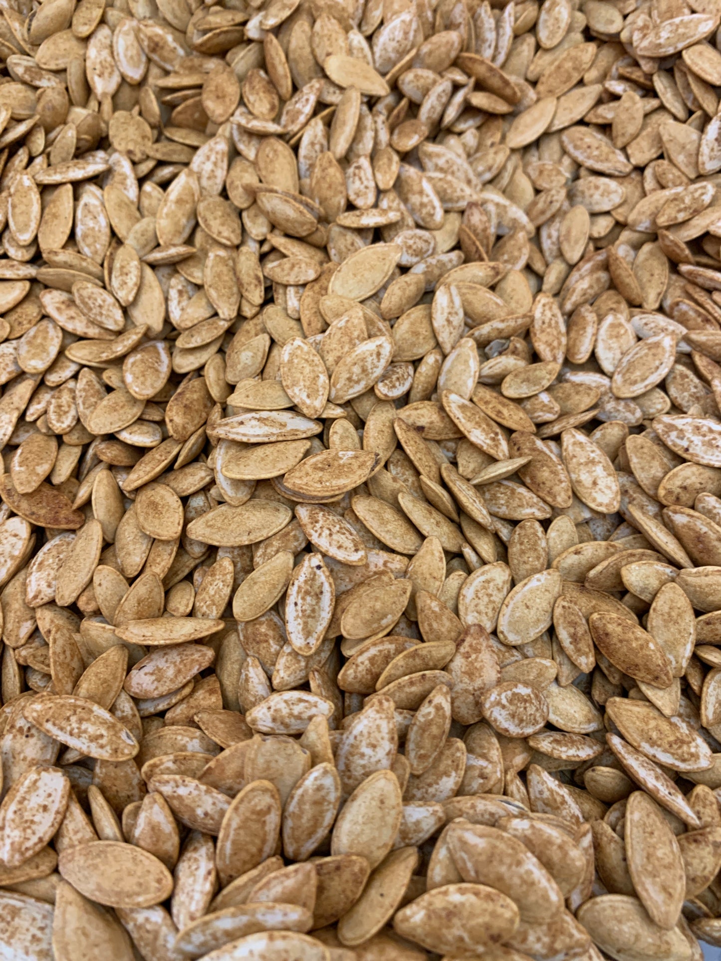 Melon Seeds Smoked