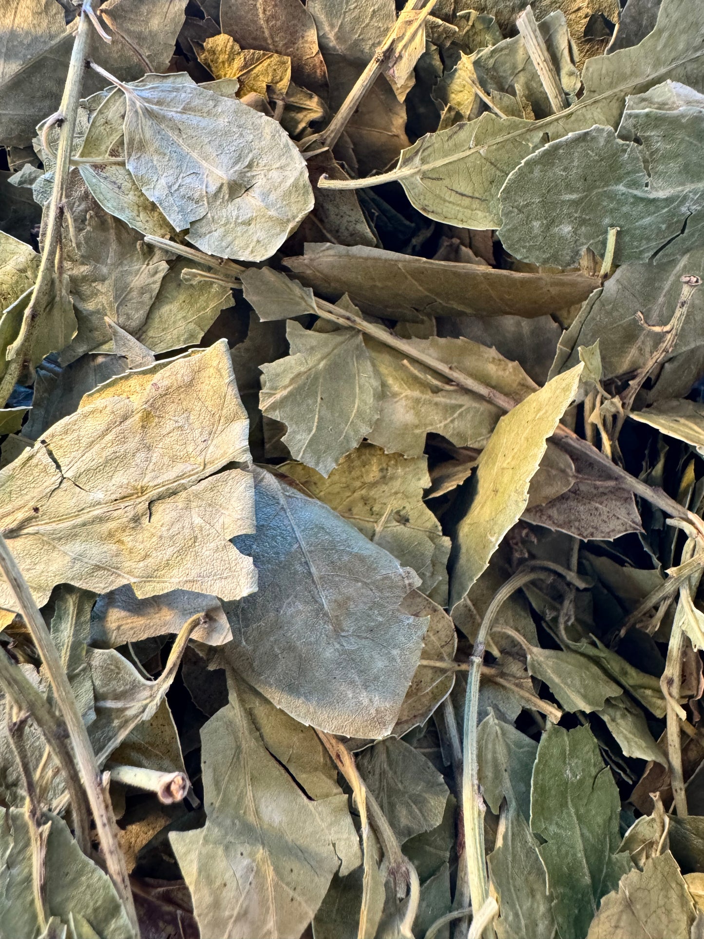 Sidr Leaves - ورق السدر