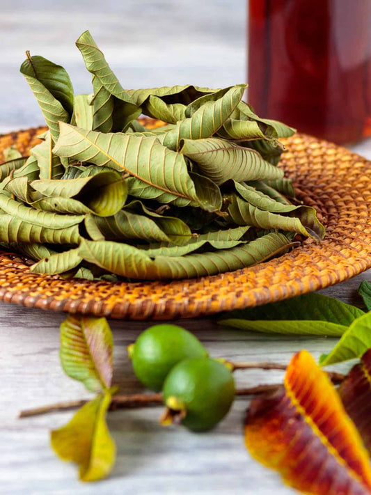 Guava Leaves - أوراق الجوافة