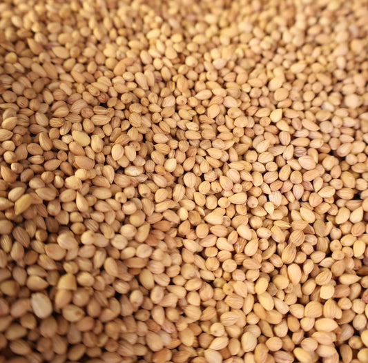 Coriander Seeds