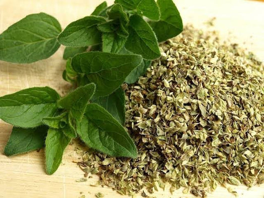 Palestinian Thyme- زعتر ورق فلسطيني
