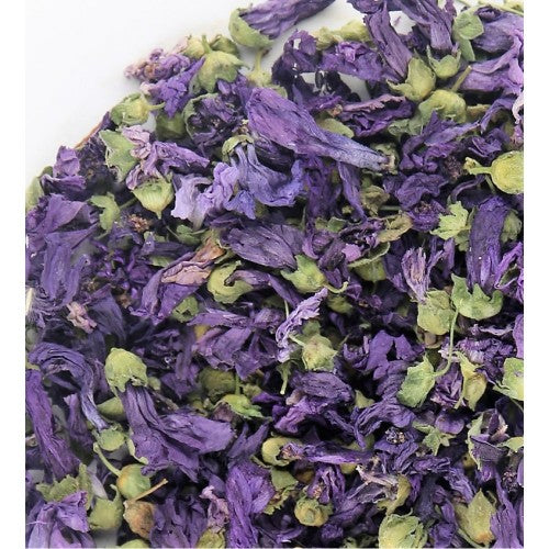 زهرة البنفسج - Violet flower