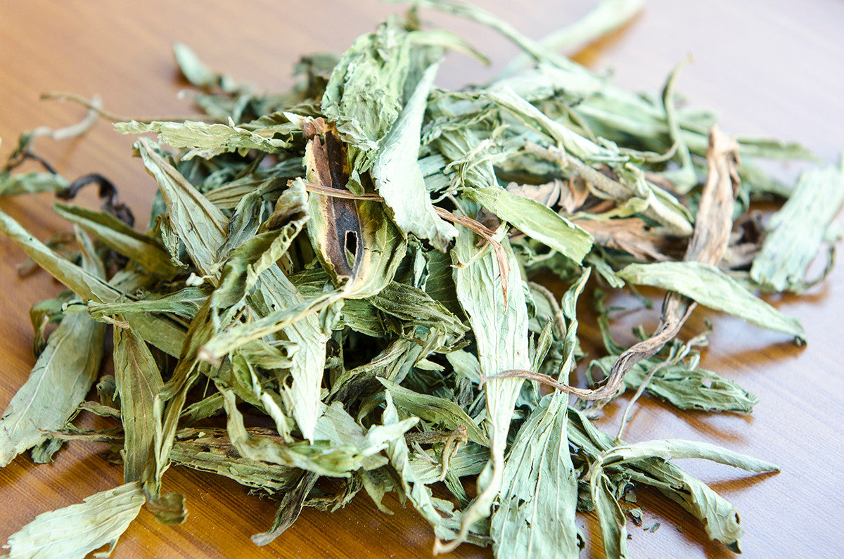 Stevia Leaves- ستيفيا