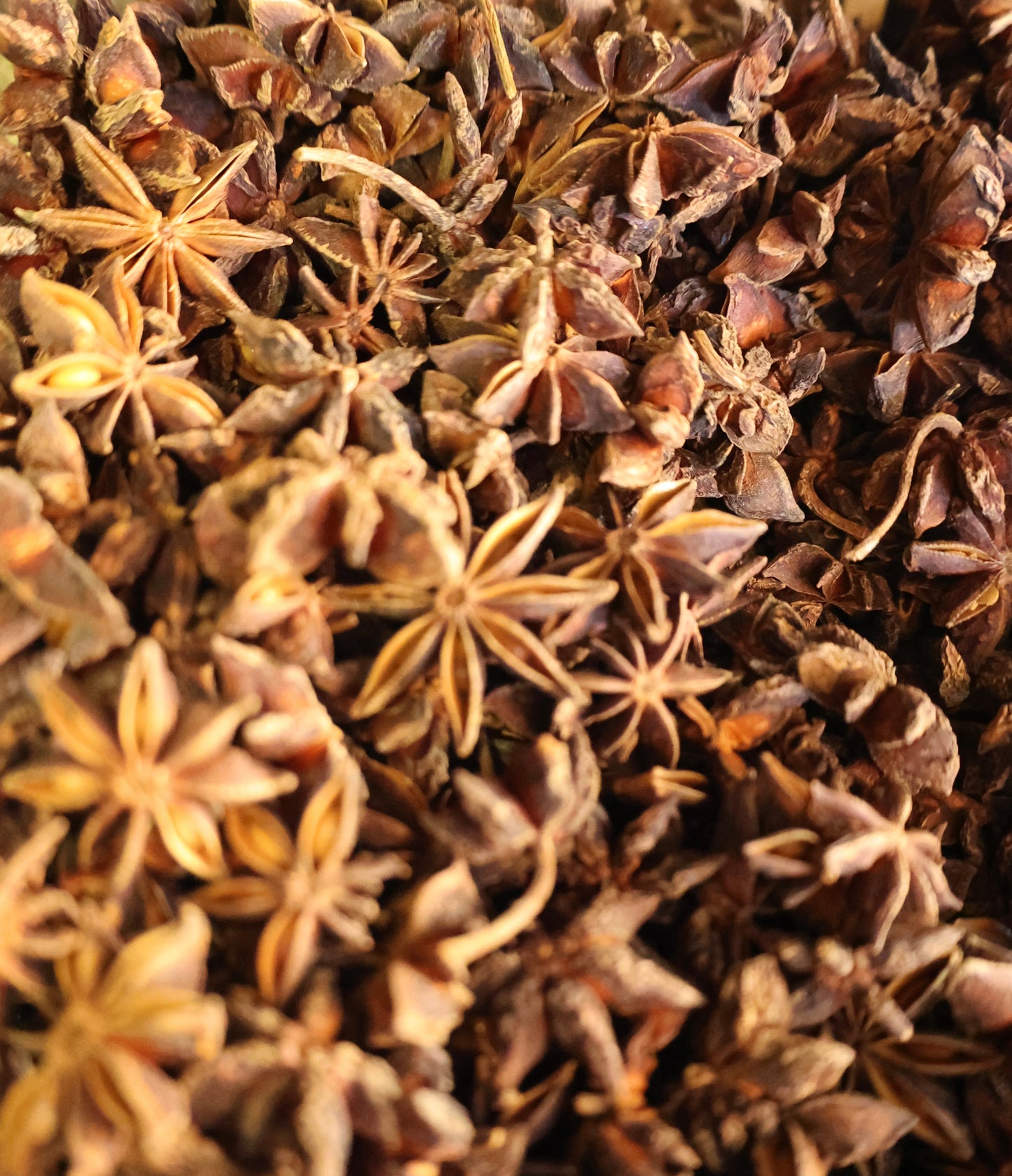 Star Anise