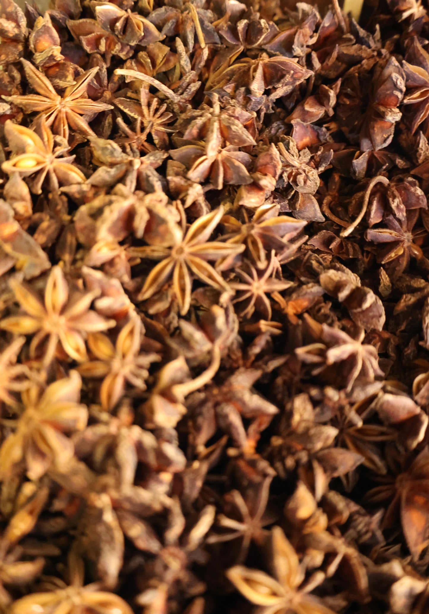 Star Anise