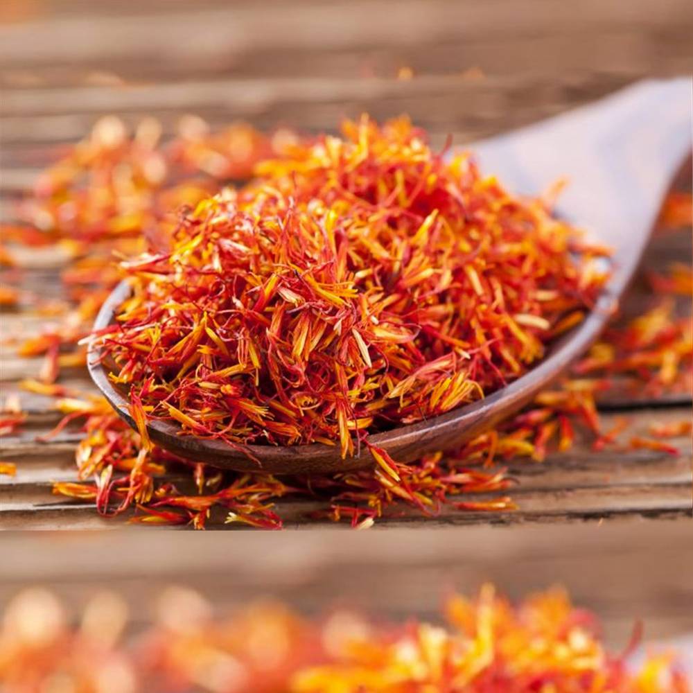 العصفر - Safflower