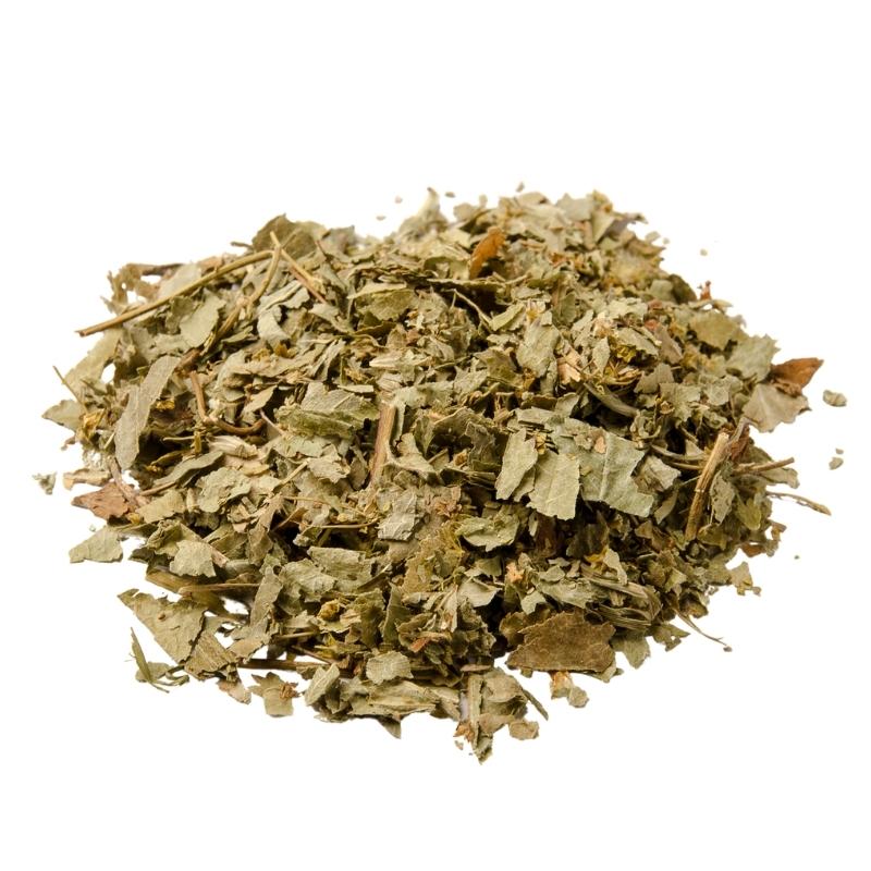 Paronychia argentea - رجل الحمامة