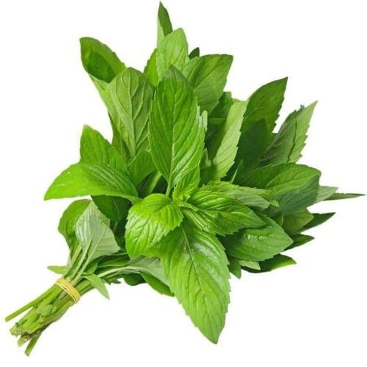 ملوخية ناشفة - (Dried Molokhia (Mallow