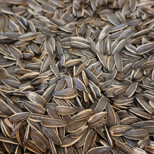 Sunflower Seeds UnSalted