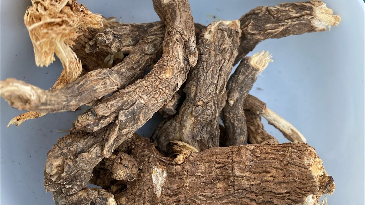 شرش الحلاوة - Saponaria Officinalis