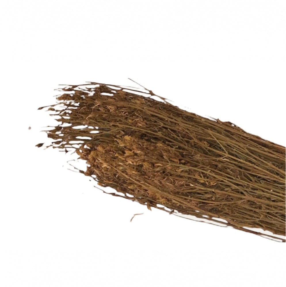 St. John's Wort - حشيشة القديسين